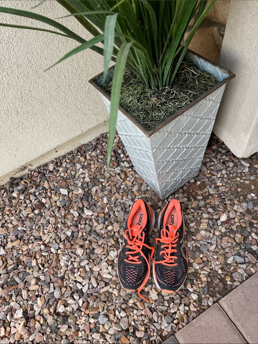 Asics Running shoes women’s 8 1/2 fit me perfectly I wear 7 1/2 regular shoes.